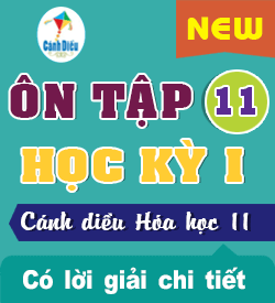 Ôn tập Học kỳ I (CD_HH11)